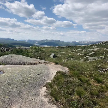 Part Of A Is Rented * Fidjeland