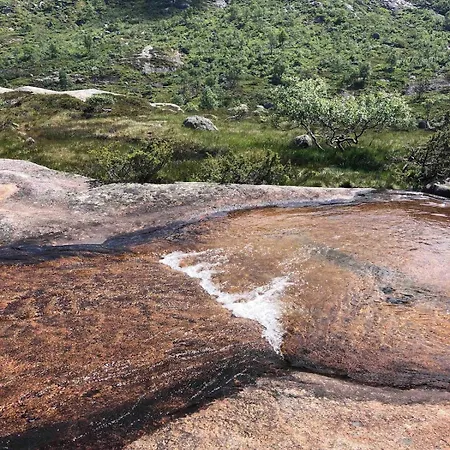 Part Of A Is Rented Fidjeland