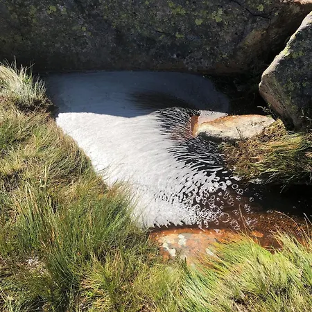 Part Of A Is Rented * Fidjeland