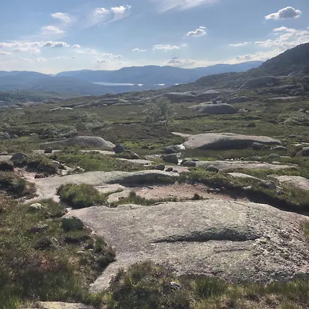 Part Of A Is Rented * Fidjeland