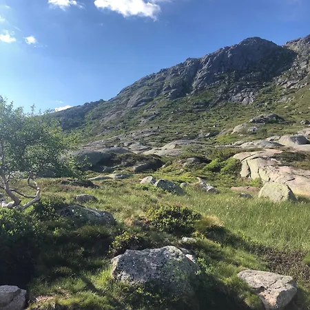 Part Of A Is Rented Lejlighed Fidjeland