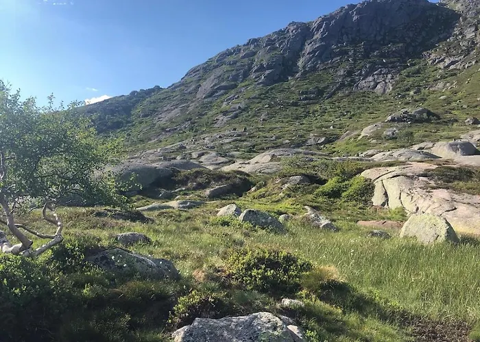 Part Of A Is Rented Lägenhet Fidjeland