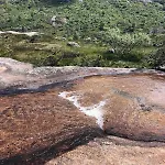 Part Of A Is Rented Fidjeland