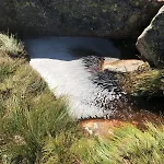 Part Of A Is Rented * Fidjeland