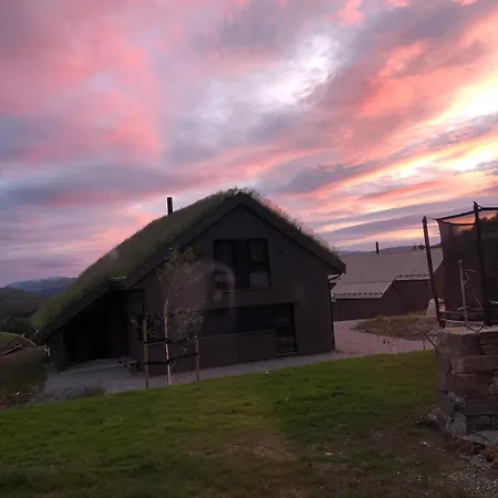 Part Of A Is Rented * Fidjeland