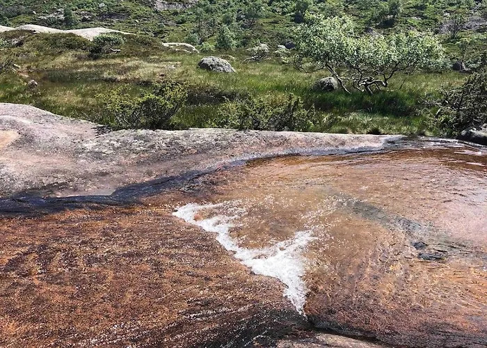 Part Of A Is Rented Fidjeland