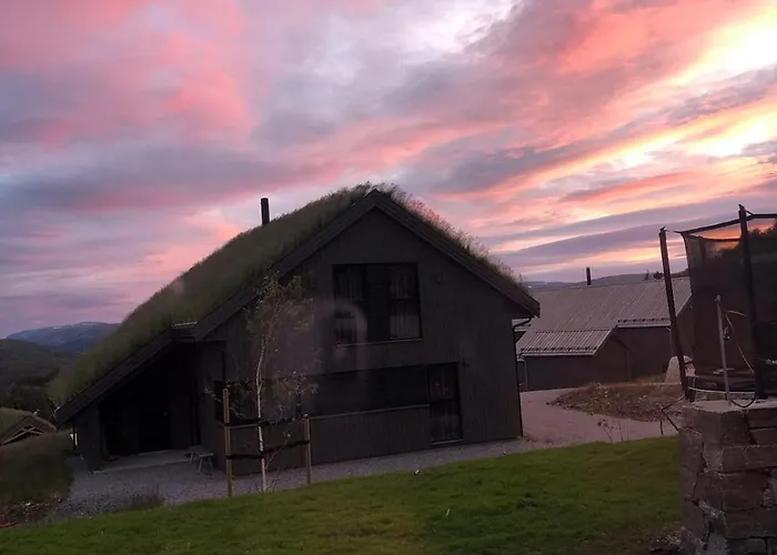 Part Of A Is Rented * Fidjeland