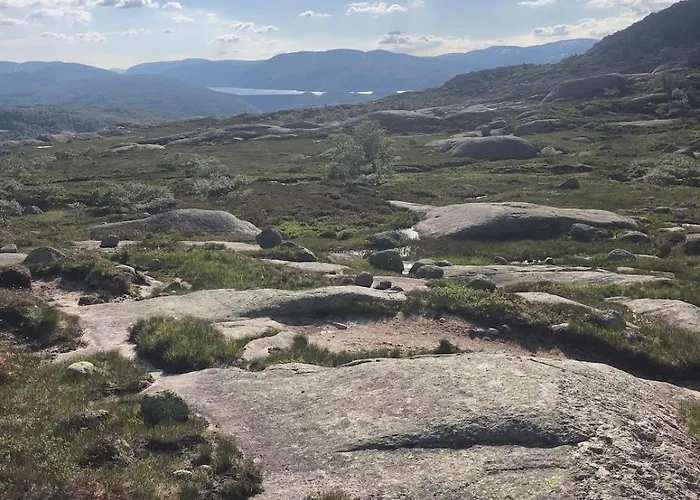 Part Of A Is Rented * Fidjeland